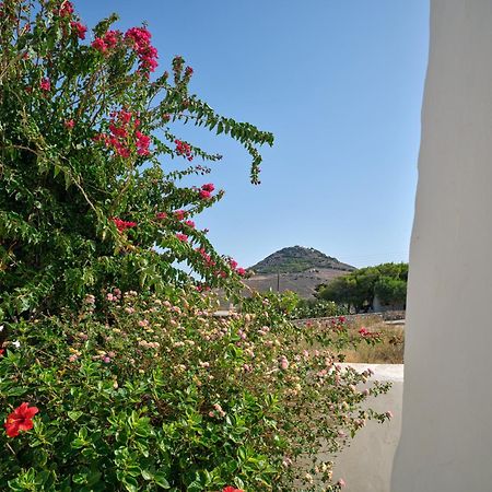 Amelie Villa With Pool And Amazing Sea Views, Paros Márpissa Extérieur photo