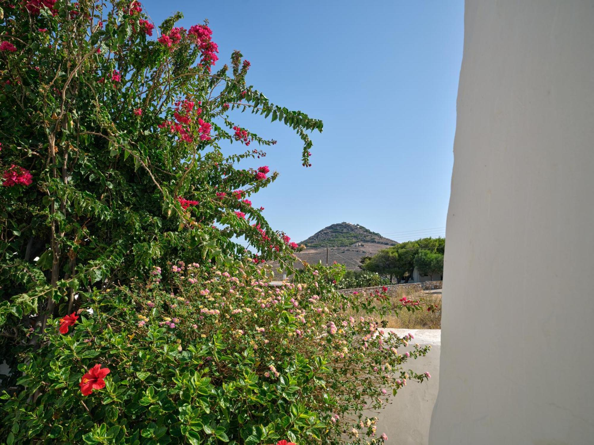 Amelie Villa With Pool And Amazing Sea Views, Paros Márpissa Extérieur photo