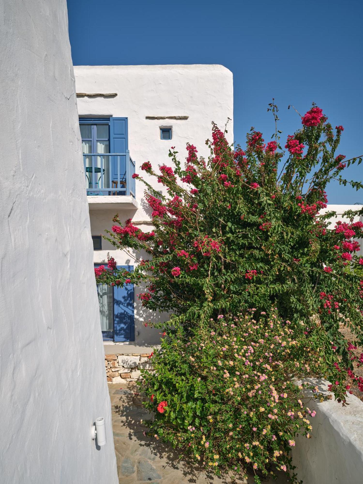 Amelie Villa With Pool And Amazing Sea Views, Paros Márpissa Extérieur photo